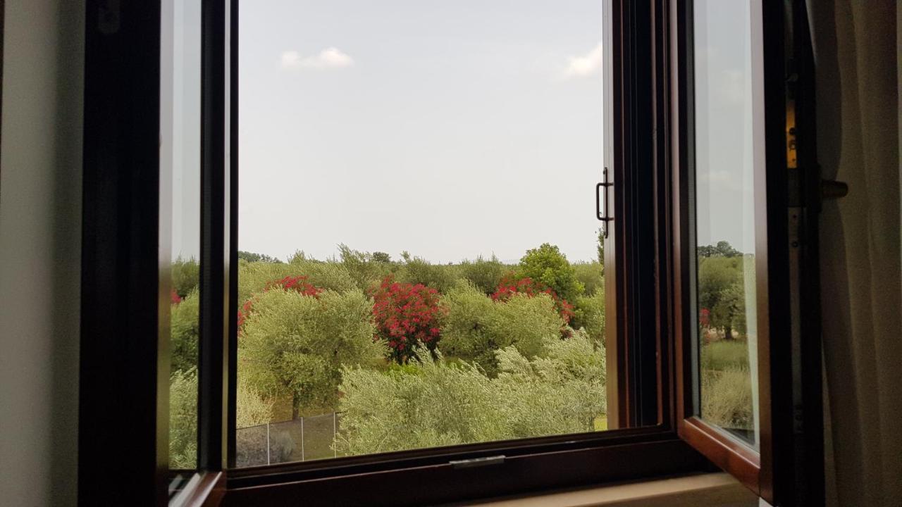 Il Casale Degli Ulivi - Agriturismo - Tenimenti Leone Lanuvio Екстериор снимка
