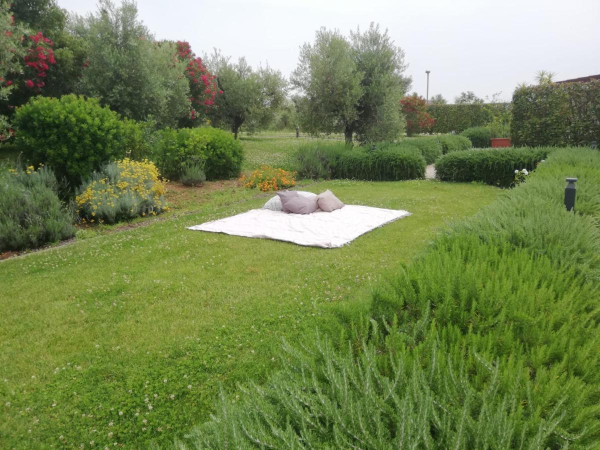 Il Casale Degli Ulivi - Agriturismo - Tenimenti Leone Lanuvio Екстериор снимка