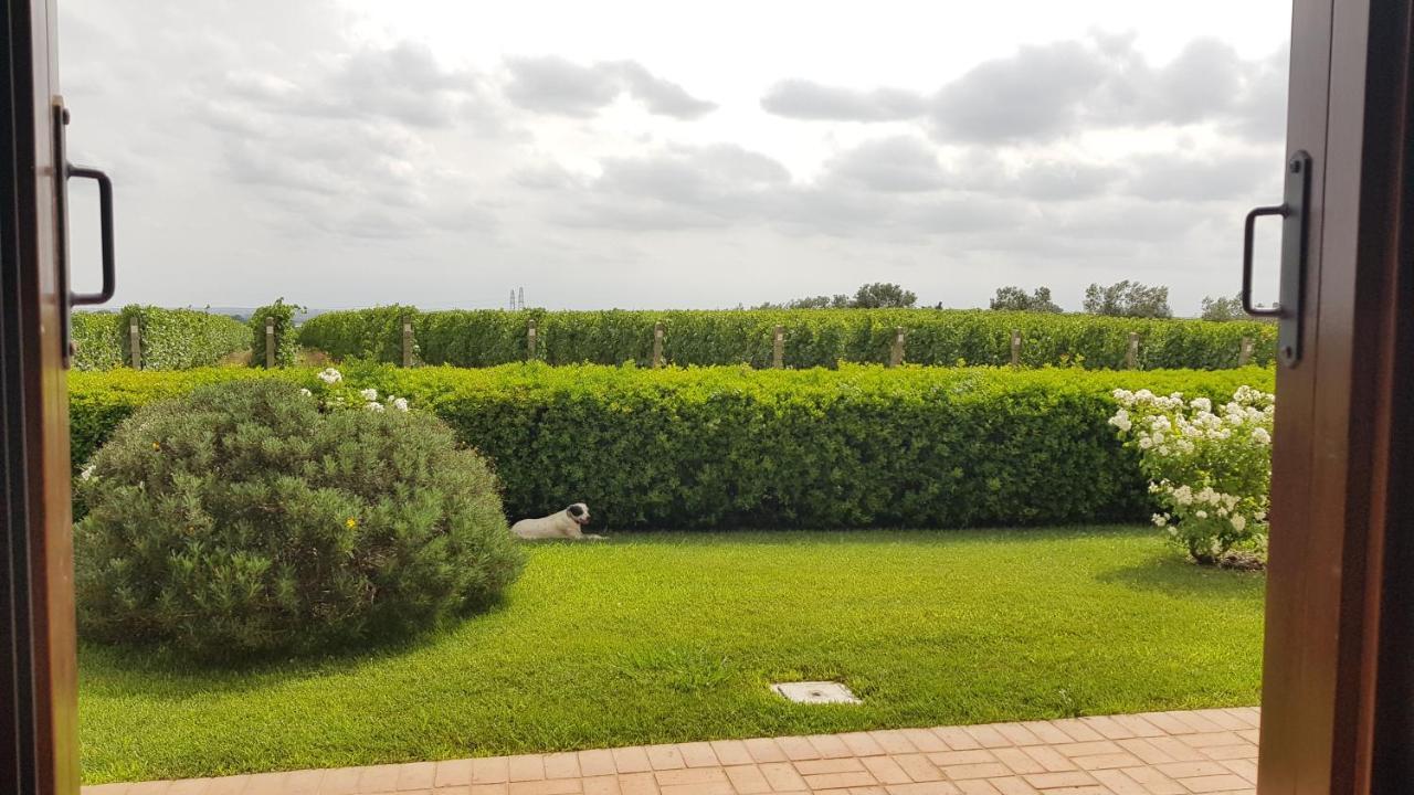 Il Casale Degli Ulivi - Agriturismo - Tenimenti Leone Lanuvio Екстериор снимка