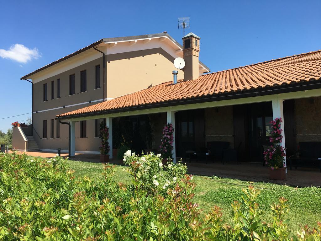 Il Casale Degli Ulivi - Agriturismo - Tenimenti Leone Lanuvio Екстериор снимка
