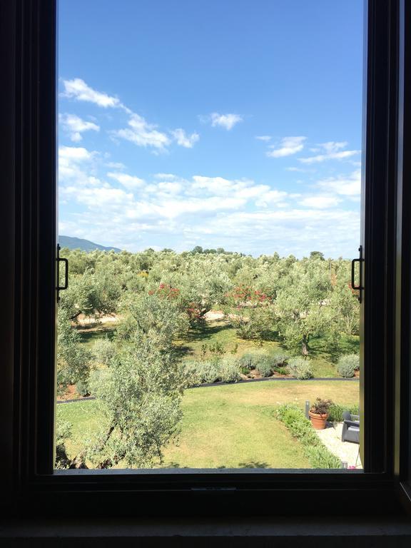 Il Casale Degli Ulivi - Agriturismo - Tenimenti Leone Lanuvio Екстериор снимка