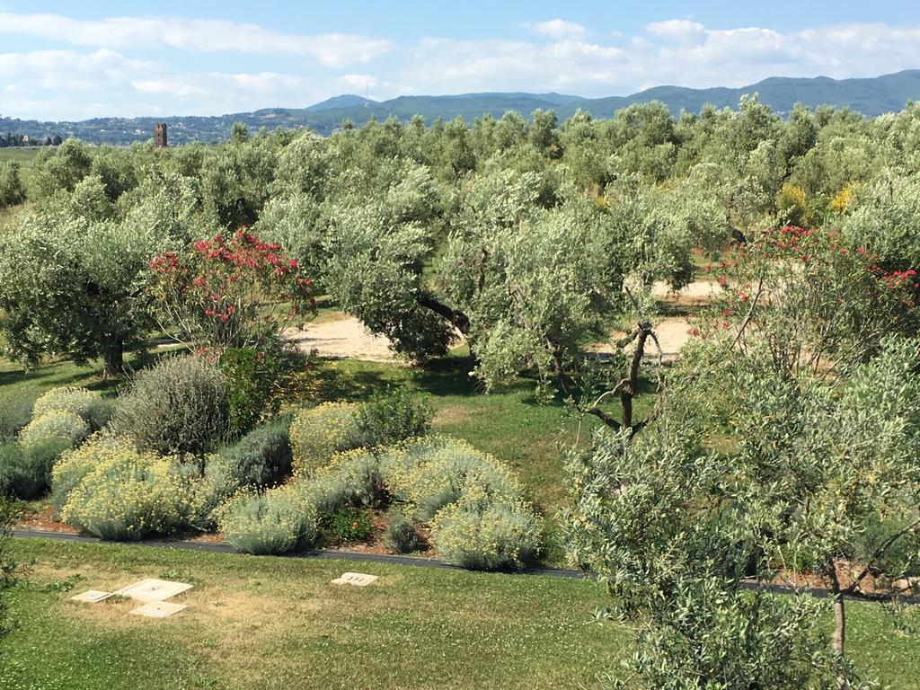 Il Casale Degli Ulivi - Agriturismo - Tenimenti Leone Lanuvio Екстериор снимка