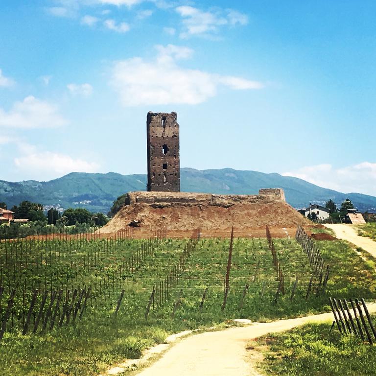 Il Casale Degli Ulivi - Agriturismo - Tenimenti Leone Lanuvio Екстериор снимка