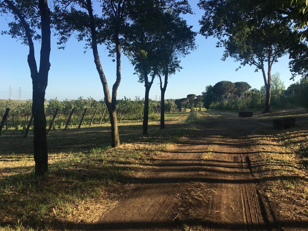 Il Casale Degli Ulivi - Agriturismo - Tenimenti Leone Lanuvio Екстериор снимка