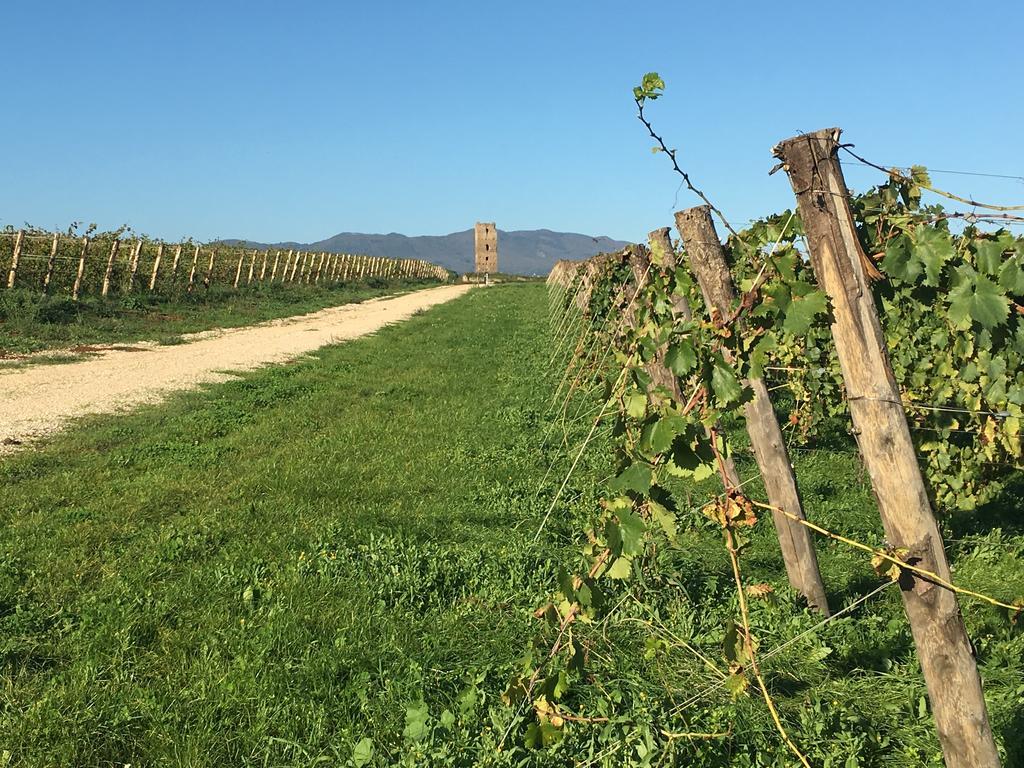 Il Casale Degli Ulivi - Agriturismo - Tenimenti Leone Lanuvio Екстериор снимка