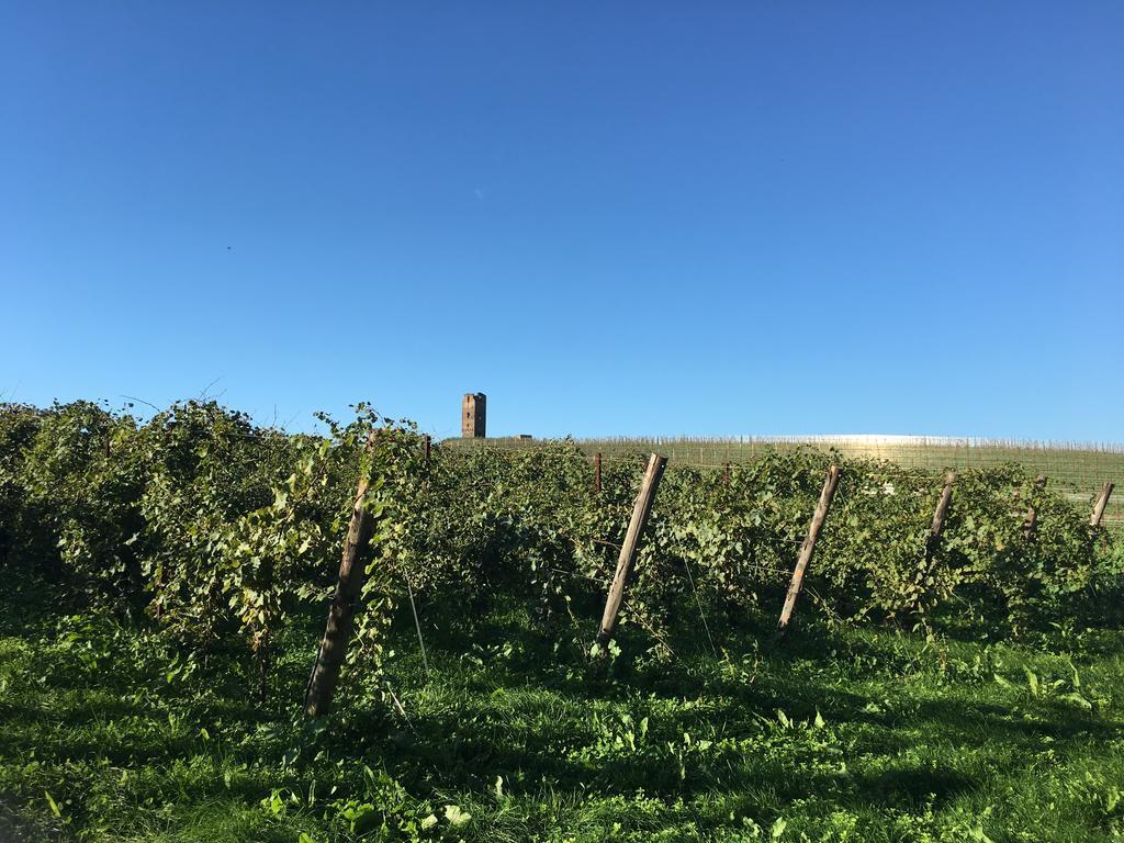 Il Casale Degli Ulivi - Agriturismo - Tenimenti Leone Lanuvio Екстериор снимка