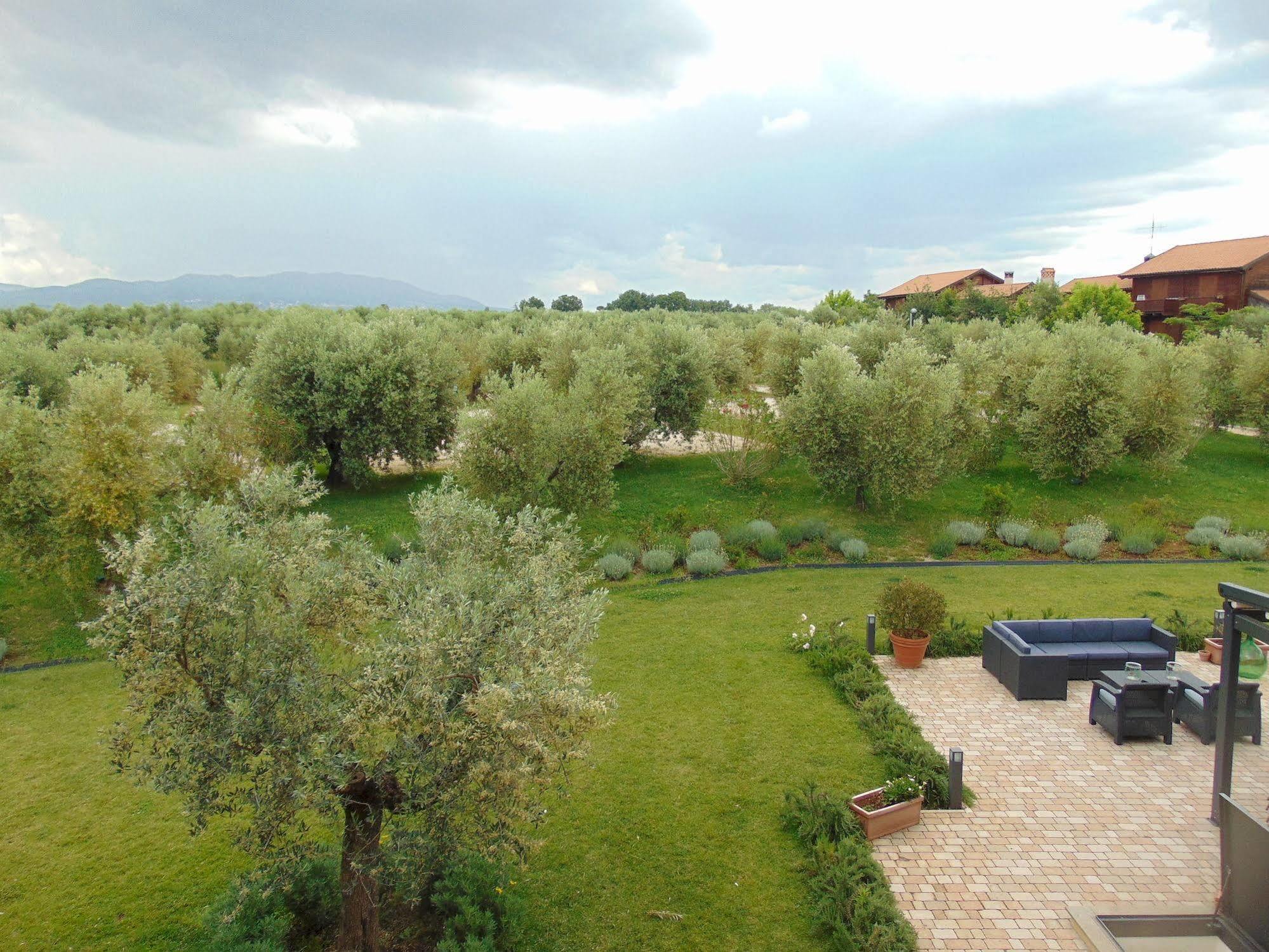 Il Casale Degli Ulivi - Agriturismo - Tenimenti Leone Lanuvio Екстериор снимка
