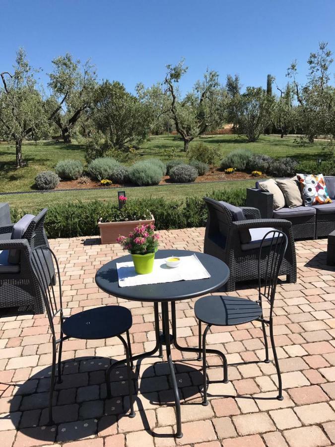 Il Casale Degli Ulivi - Agriturismo - Tenimenti Leone Lanuvio Екстериор снимка