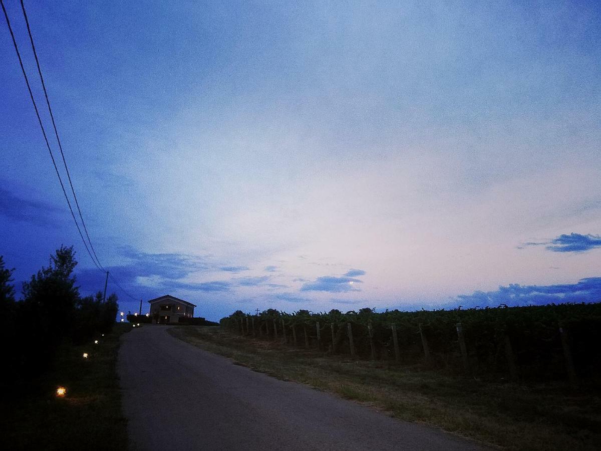 Il Casale Degli Ulivi - Agriturismo - Tenimenti Leone Lanuvio Екстериор снимка